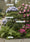 Image to render