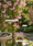 Image to render
