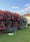 Image to render