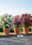 Image to render