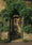 Image to render
