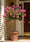 Image to render