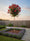 Image to render