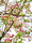 Image to render
