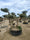 Image to render