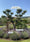 Image to render