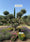 Image to render