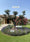 Image to render