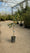 Image to render