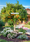Image to render