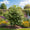 Image to render