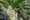 Image to render