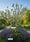Image to render
