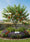 Image to render