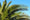 Image to render