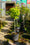 Image to render