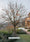 Image to render