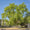 Image to render