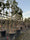 Image to render