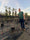 Image to render