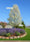 Image to render