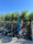 Image to render