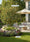 Image to render