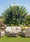 Image to render