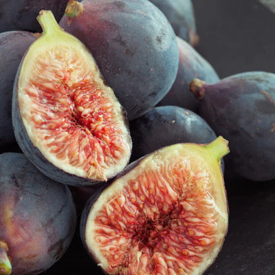 Figuier Grise de Saint-Jean (Ficus carica Grise de Saint Jean) 1 - Achat en ligne