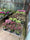 Image to render