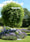 Image to render