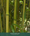 Image to render