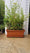 files/Terracotta-fleurs110L_e7d3d57e-64f8-4079-b62e-d440d6852f65.jpg