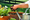 Tourbe - 150 L 2 - Achat en ligne