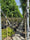 Image to render