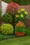 Image to render