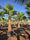 Image to render