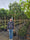 Photinia Red Robin (Palissade) 3 - Achat en ligne