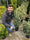Fusain du Japon 'Bravo' (Euonymus Japonicus) 5 - Achat en ligne