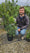 Arbousier (Arbutus unedo) 5 - Achat en ligne