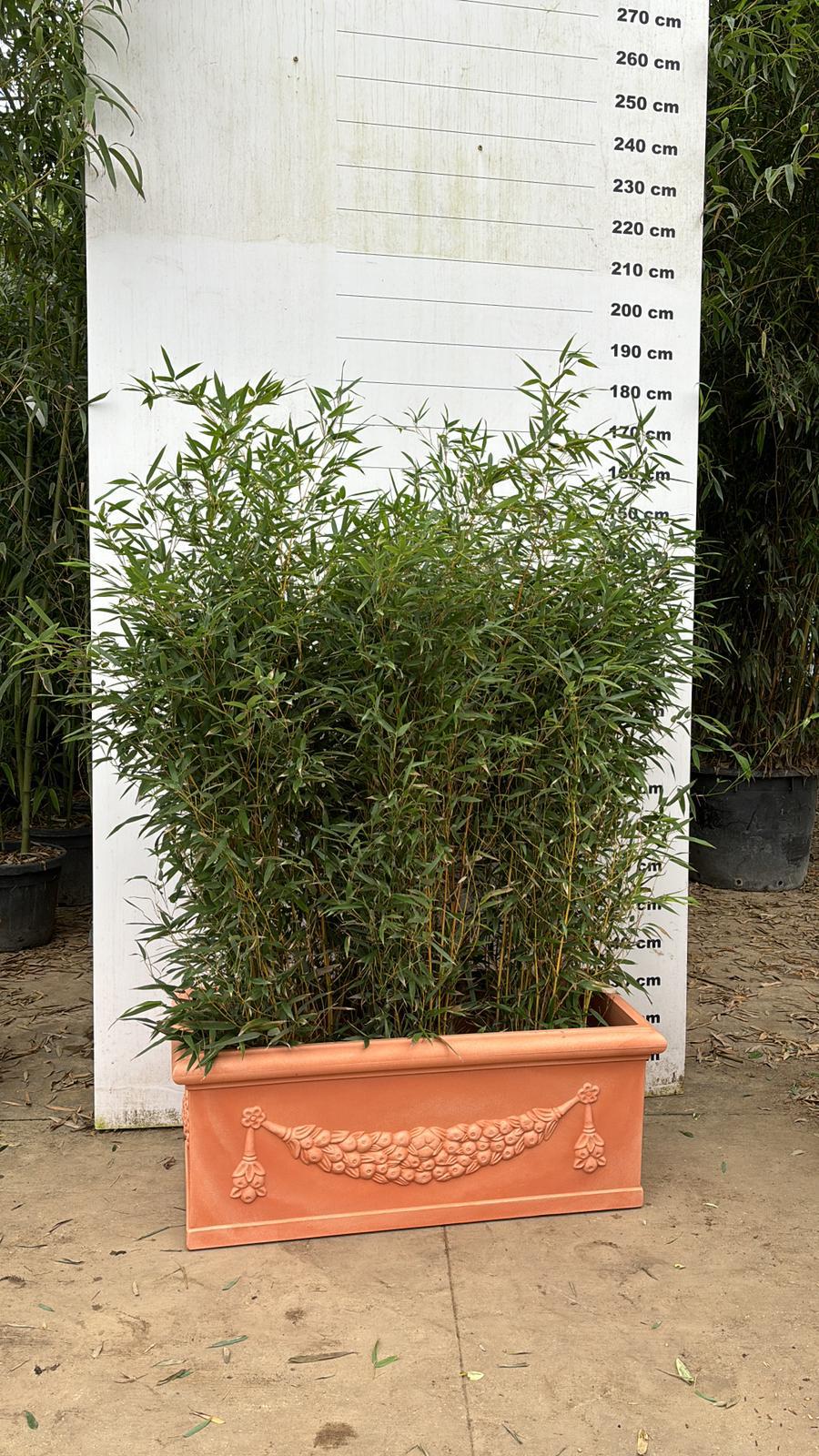 Jardinière Genova - 120 L