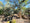 Image to render