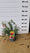 Image to render