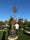 Image to render