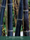 Image to render