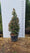 Photinia Fraseri 'Carré Rouge' en cône 4 - Achat en ligne