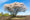 Image to render