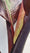 Image to render